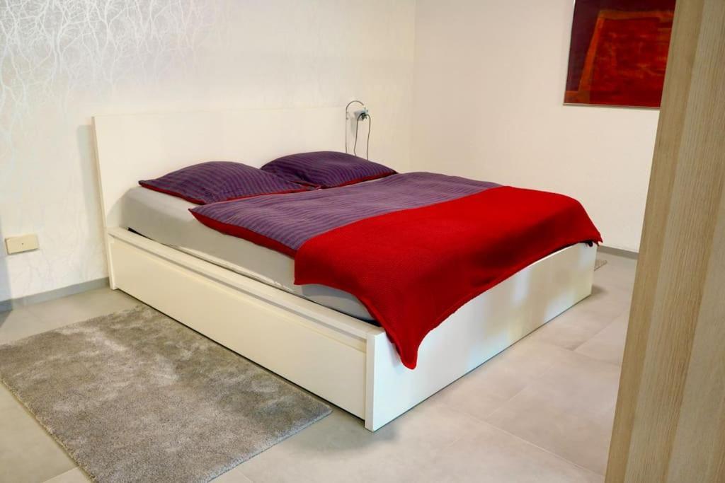 Helle Kellerwohnung Im Gruenen Mit Sauna Appartement